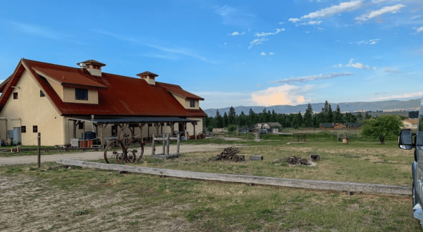 Feast On Wood-Fired Pizza And Craft Beer At Wildwood Brewery In Montana