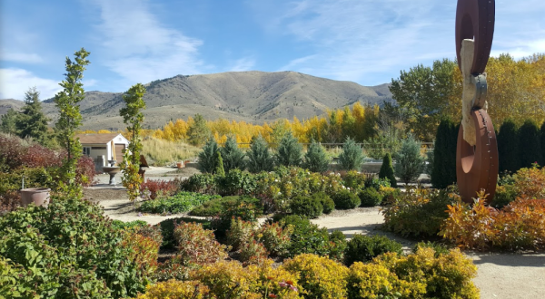 Wander Through The Magical, Otherworldly Sawtooth Botanical Garden In Idaho