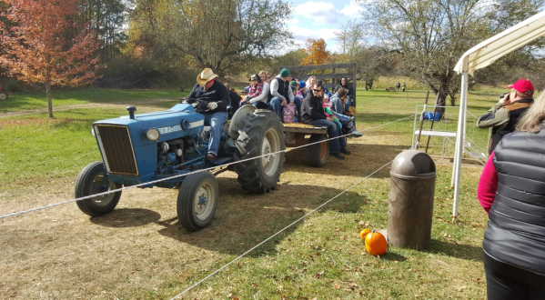 Fall Fanatics Will Adore The 40th Annual Ciderfest At Diehl’s Orchard In Michigan