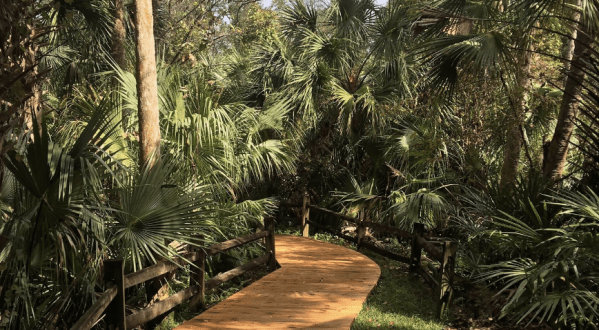 The Juniper Springs Trail Might Be One Of The Most Beautiful Short-And-Sweet Hikes To Take In Florida