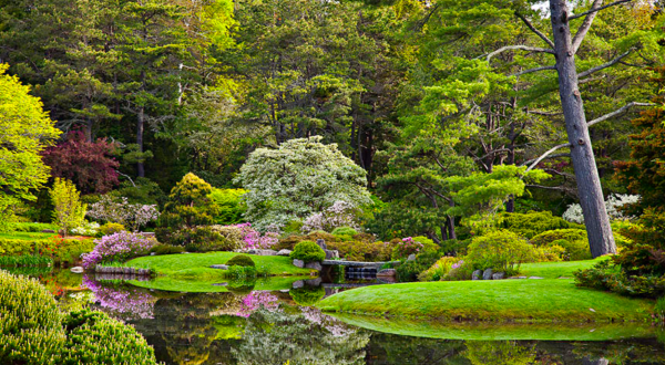 Wander Through The Magical, Otherworldly Asticou Azalea Garden In Maine
