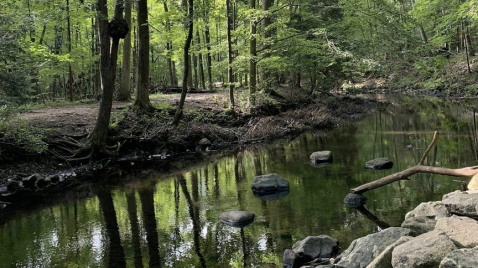 An Easy Hike In Connecticut, The Meander Loop Trail Is Full Of Lush Woodlands And Babbling Brooks