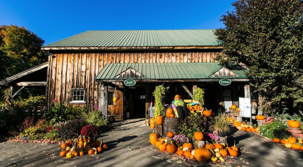 This Enormous Roadside Farmers Market In New Hampshire Is Too Good To Pass Up