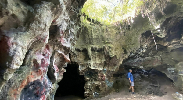The Dames Cave Trail Is A Challenging Hike In Florida That Will Make Your Stomach Drop