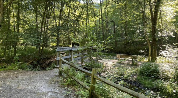 A Little-Known State Park In Connecticut, Bolton Notch Has 95-Acres Of Astonishing Beauty