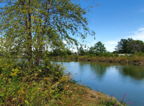 Discover A Wonderful World Of Wildlife At Whispering Meadows Wetland Park In Iowa