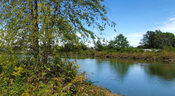 Discover A Wonderful World Of Wildlife At Whispering Meadows Wetland Park In Iowa