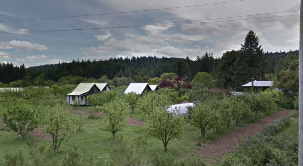 The Guest Cottages At Philo Apple Farm In Northern California Make For The Perfect Fall Weekend Getaway