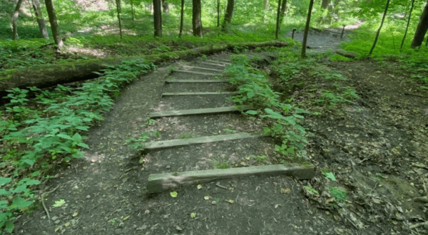 North Chagrin Reservation Is A Fascinating Spot in Cleveland That’s Straight Out Of A Fairy Tale