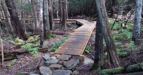 Hiking At Witt's End Trail In Maine Is Like Entering A Fairytale