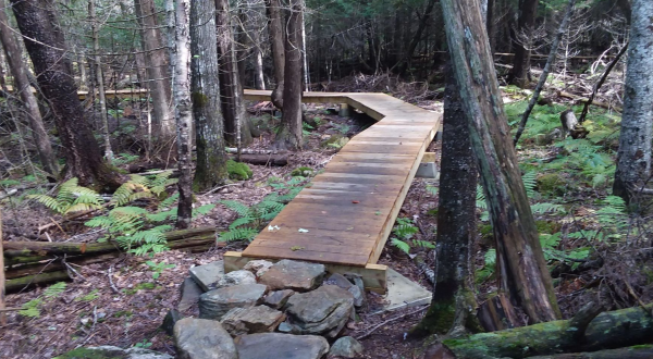 Hiking At Witt’s End Trail In Maine Is Like Entering A Fairytale