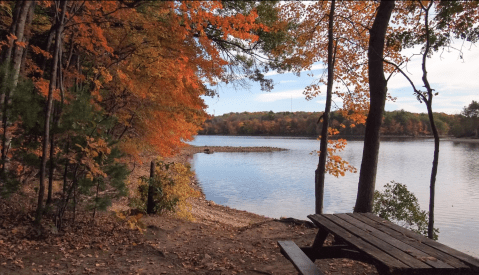 For A Family Outing, Hopkinton State Park In Massachusetts Has A Little Bit Of Everything