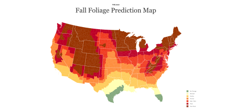 Find Out When The Leaves Will Change Color In Kentucky With This Interactive Fall Foliage Map