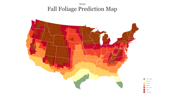 Find Out When The Leaves Will Change Color In Kentucky With This Interactive Fall Foliage Map