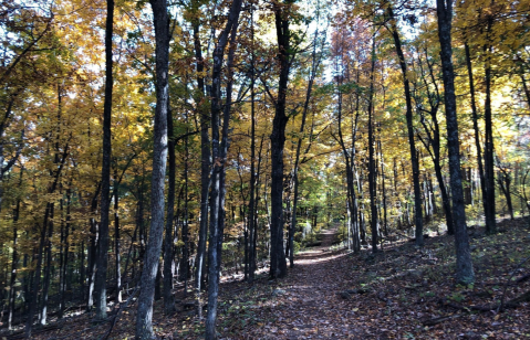 Fox Hollow Loop Is A Short And Sweet Virginia Trail With Enchanting Fall Colors