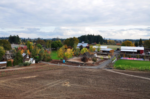 Roloff Farms Is A Fun, Fanciful Place To Get Your Halloween Pumpkin In Oregon