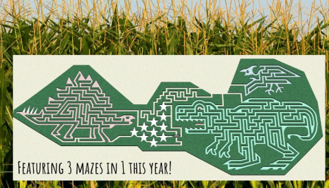 Get Lost In The Awesome Jurassic Park-Themed Cooley's Corn Maze In South Carolina This Autumn
