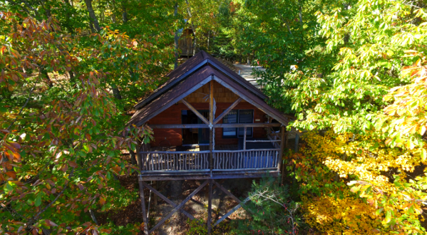 Experience The Fall Colors Like Never Before With A Stay At The Treehouse Cabins In North Carolina