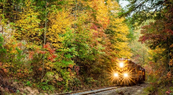 The One North Carolina Town Everyone Must Visit This Fall