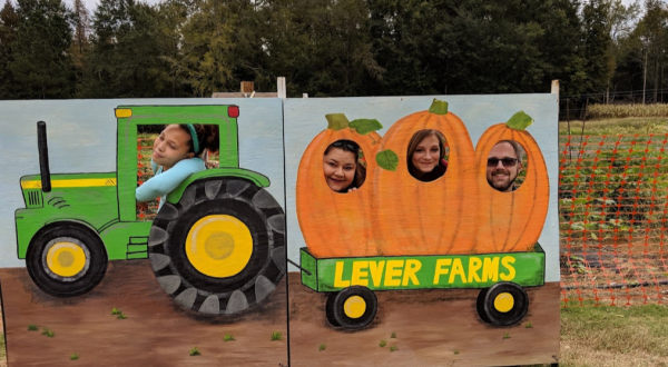 Chow Down And Stock Up On Pumpkin Fritters, Pumpkin Butter, And Pumpkins This Fall At Lever Farms In South Carolina