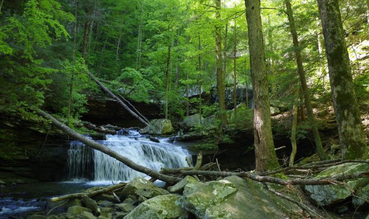 Sitton's Gulch trail small waterfall in Georgia