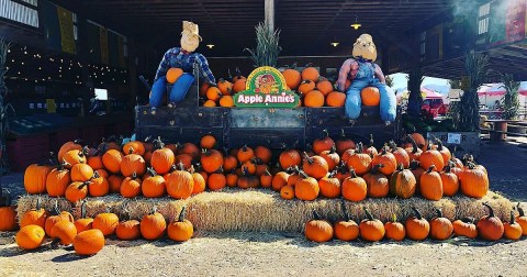 Fall Into The Season With A Weekend Trip To Apple Annie's Orchard In Arizona