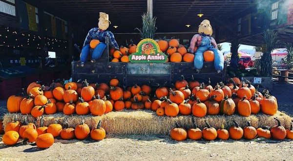 Fall Into The Season With A Weekend Trip To Apple Annie’s Orchard In Arizona