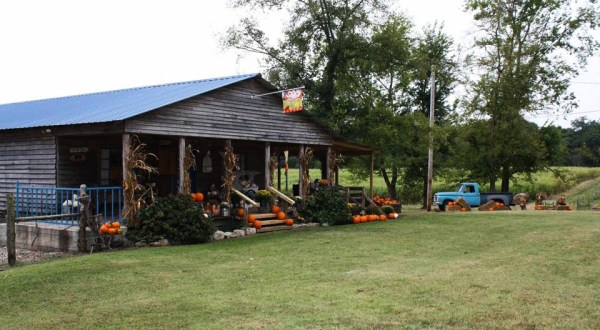 Pick And Paint Your Own Pumpkins Then Enjoy Endless Activities At The Belue Place Pumpkin Patch In Alabama