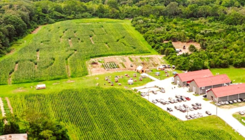 Enjoy Cocktails And Corn Mazes At Nauti Spirits Distillery In New Jersey