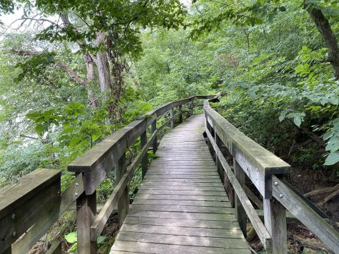 When You Think You've Done It All, Try These 7 Hikes In Iowa That Are Local Secrets