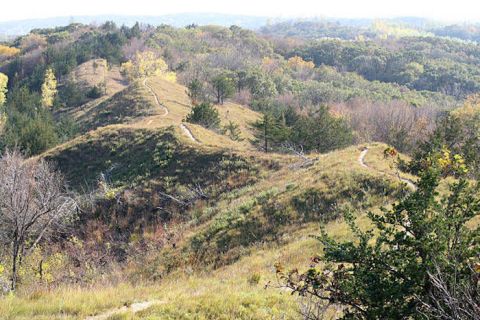 Loess Hills Ridge Trail Is One Of The Best Fall Hikes In Iowa With Its Rolling Hills Of Color