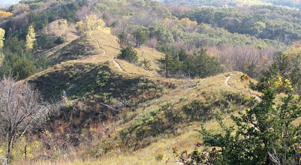 Loess Hills Ridge Trail Is One Of The Best Fall Hikes In Iowa With Its Rolling Hills Of Color