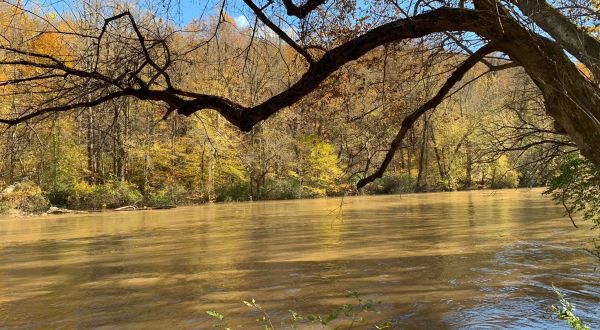 Take An Easy Hike Through The Breezy Brandywine Creek State Park In Delaware For A Gorgeous Autumn Scene