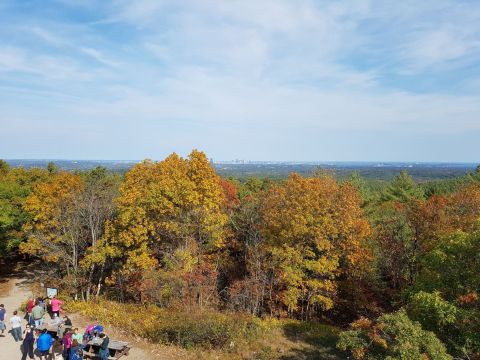 Wildflowers And Foliage Of All Colors Pave The Way On The Skyline Trail In Massachusetts