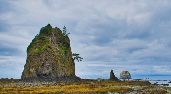 The Ozette Triangle Trail Shows Off The Washington Coast At Its Finest