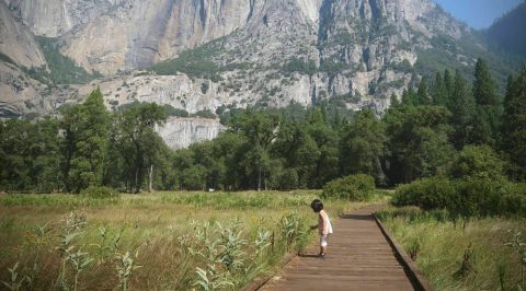 7 Easy Hikes That Show You Northern California's Yosemite National Park Without Breaking A Sweat