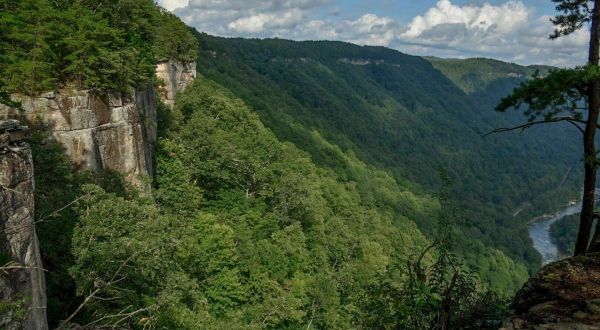 The Fern Creek Area Of The Endless Wall Is A West Virginia Adventurer’s Paradise