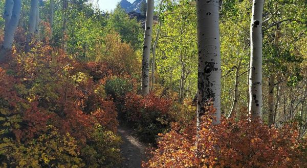 Bask In The Beauty Of Autumn On The Lake Blanche Trail In Utah This Season