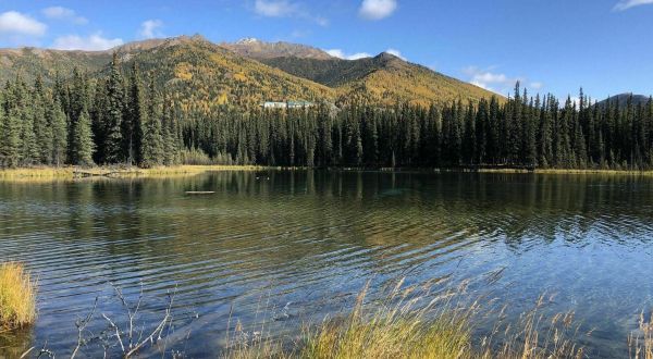 The Easy, Scenic Horseshoe Lake Trail In Alaska Is A Trail The Whole Family Will Enjoy