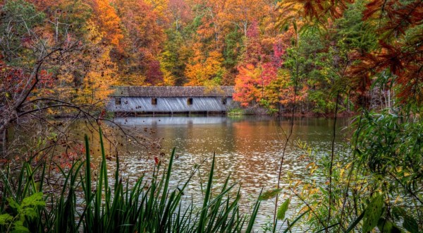 Don’t Forget To Add These 10 Alabama Attractions To Your Fall Bucket List
