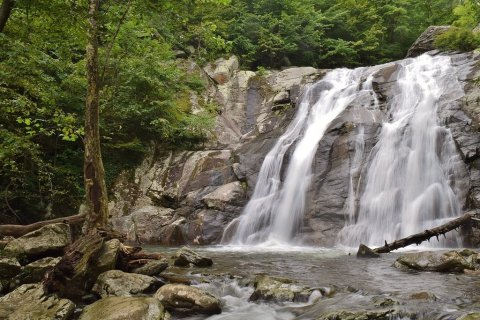 The Remote Hike To Whiteoak Canyon Falls In Virginia Winds Through An Old Growth Forest