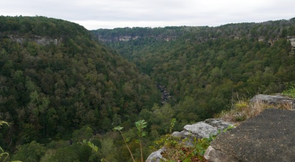 Off The Beaten Path In Little River Canyon National Preserve, You’ll Find A Breathtaking Alabama Overlook That Lets You See For Miles
