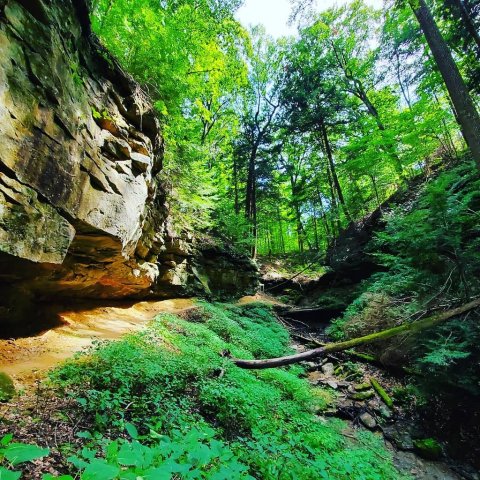 With Waterfalls, Rock Formations, And Hiking, Shades State Park In Indiana Is A Huge Park In A Small Package