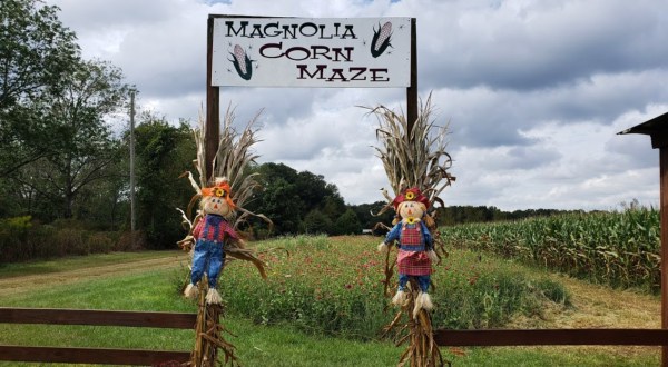 With Corn Mazes, Paintball, A Raceway, And More, Magnolia Farms Is The Perfect Fall Destination In Alabama