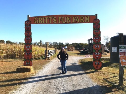 Take A Stroll Through A Field Of Sunflowers Or A Maze Of Corn At Gritt's Farm In West Virginia