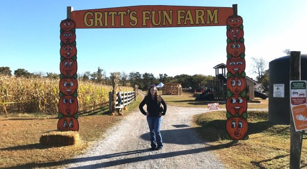 Take A Stroll Through A Field Of Sunflowers Or A Maze Of Corn At Gritt’s Farm In West Virginia