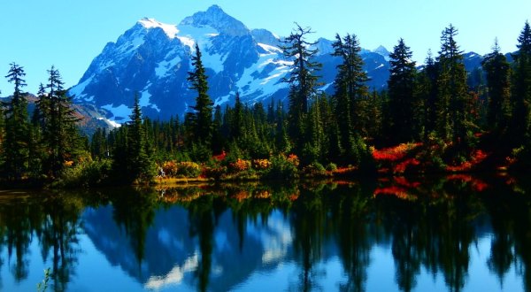 Hop In Your Car And Take Mount Baker Scenic Byway For An Incredible 58-Mile Scenic Drive In Washington