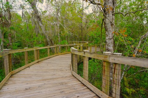 The Hidden Park In Florida, Oakland Nature Preserve, Is An Outdoor Lover’s Paradise