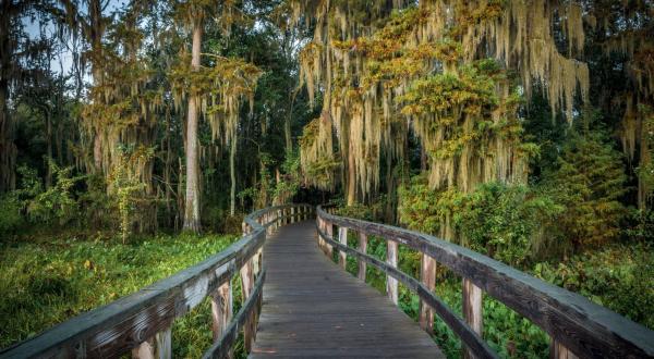 Phinizy Swamp Nature Park In Georgia Is So Hidden Most Locals Don’t Even Know About It