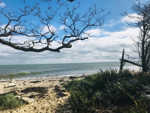 This 1-Mile Trail At Ellisville Harbor State Park In Massachusetts Takes You To A Nearly Empty Beach
